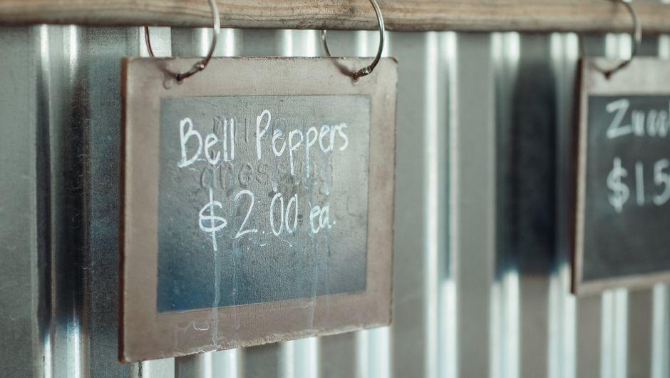 Wellness Membership Pricing Models